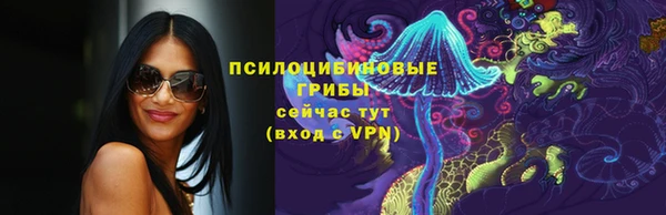 гидра Кодинск