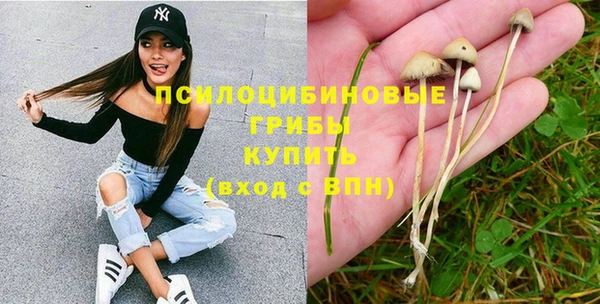 прущие крисы Алзамай