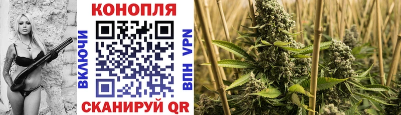 Конопля сатива  сайты даркнета как зайти  Котлас  ОМГ ОМГ как зайти 